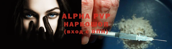 амф Бородино