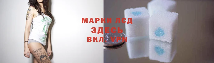 MESCALINE Семикаракорск