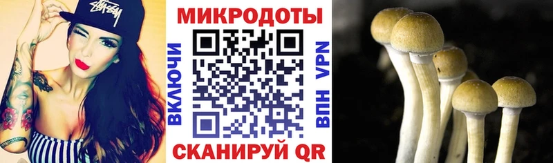 даркнет сайт  Ростов  Галлюциногенные грибы Magic Shrooms 